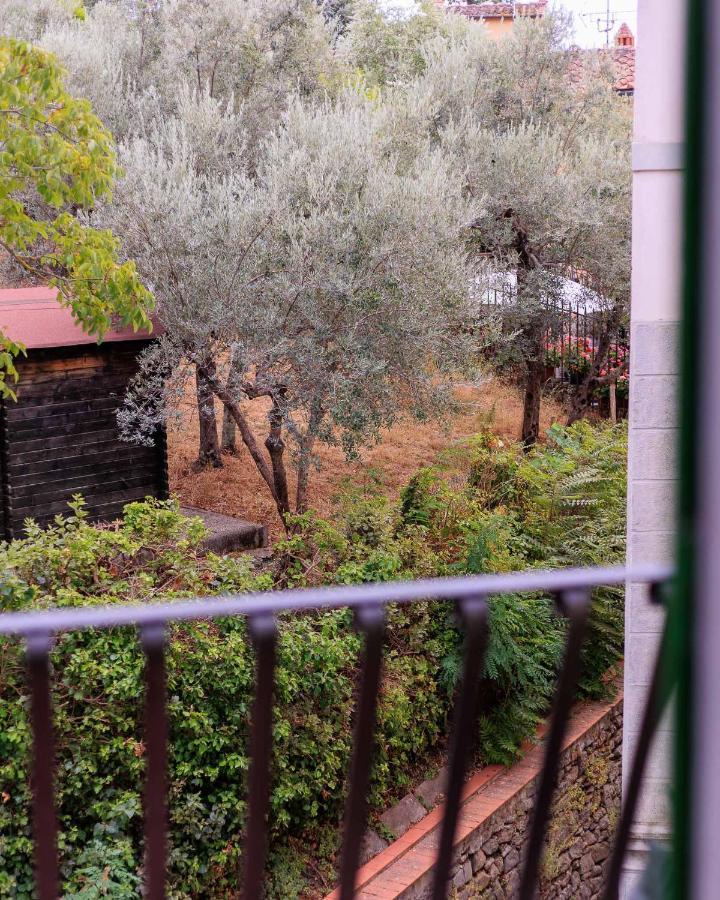 Bonelli Fiesole